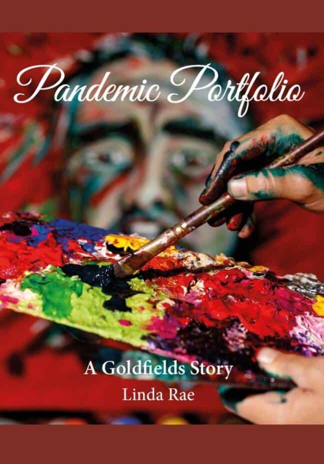 Pandemic Portfolio Books Online Cover