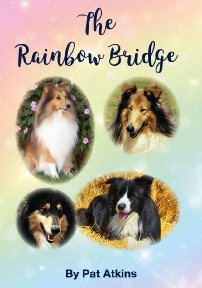 The Rainbow Bridge Book Cover