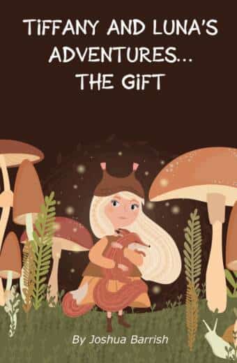 Tiffany and Luna's Adventures...The Gift book cover